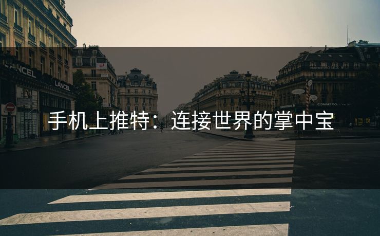 手机上推特：连接世界的掌中宝