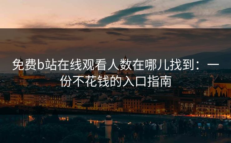 免费b站在线观看人数在哪儿找到：一份不花钱的入口指南