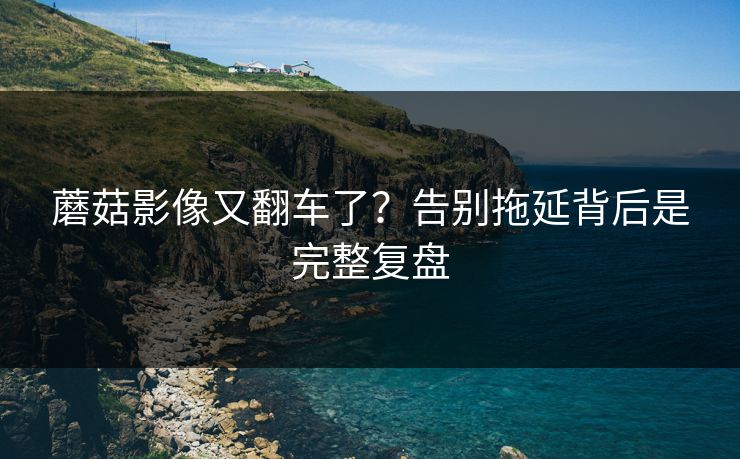 蘑菇影像又翻车了？告别拖延背后是完整复盘