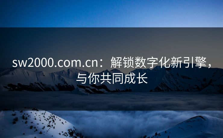 sw2000.com.cn：解锁数字化新引擎，与你共同成长
